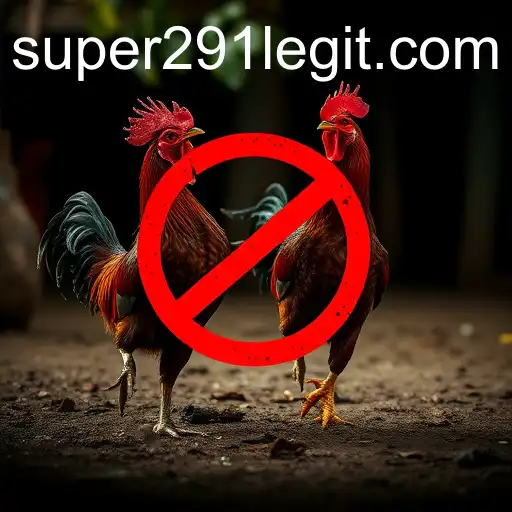 The Complex World of Cockfighting: A Closer Look at 'Super291'
